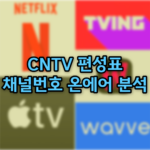 CNTV 편성표