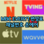 MBC EVERY1 편성표