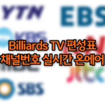 Billiards TV 편성표