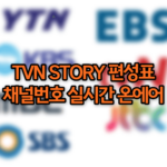 TVN STORY 편성표